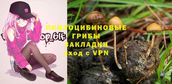 гашик Кукмор