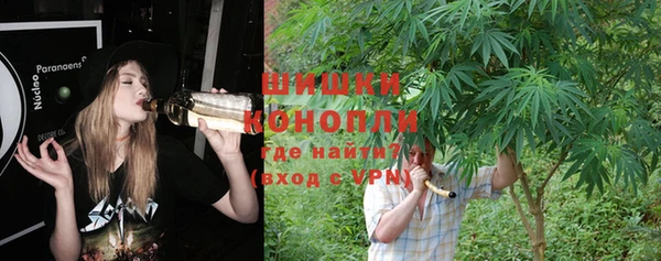 гашик Кукмор