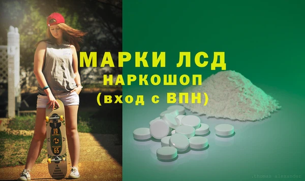 стаф Дмитриев